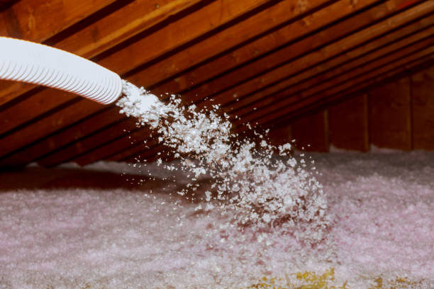 Best Insulation Maintenance and Repair in South Corning, NY